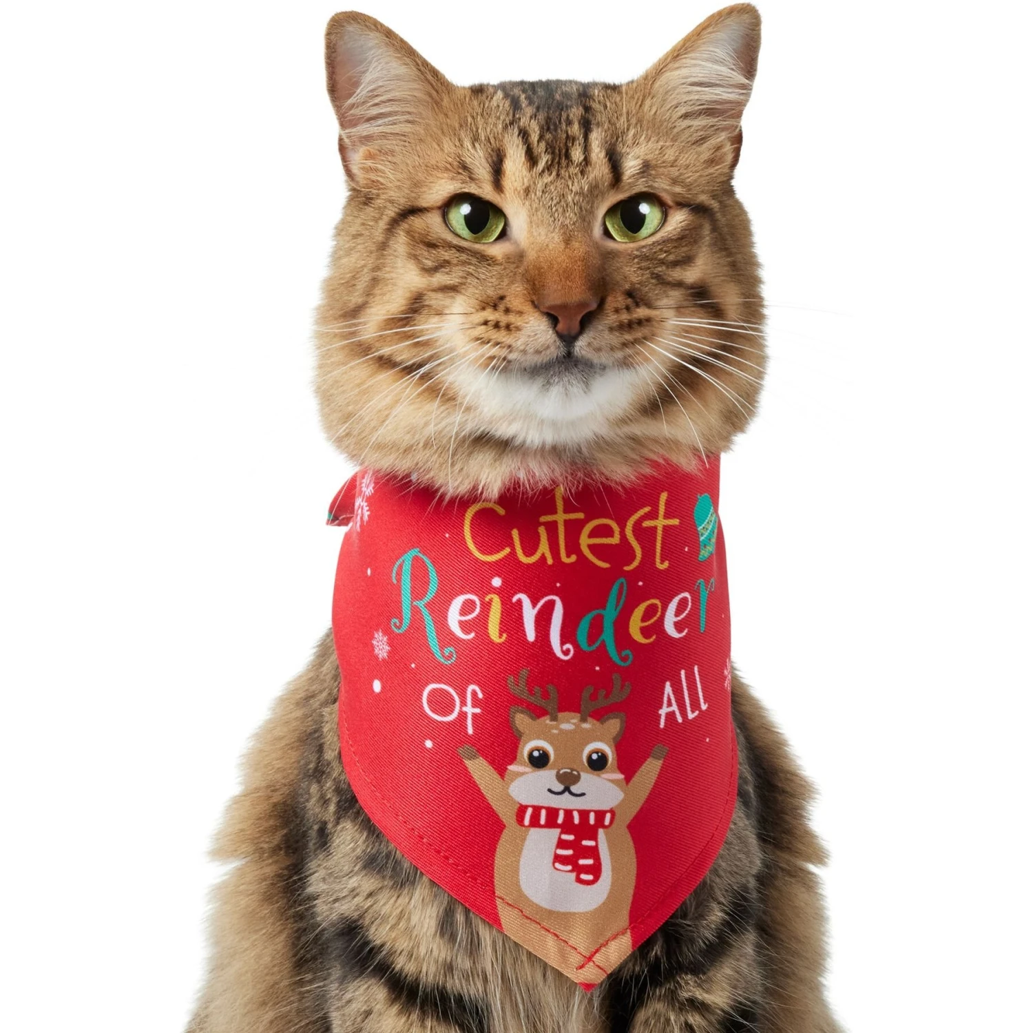 Frisco Cutest Reindeer Of All Dog & Cat Bandana 3 Frisco Cutest Reindeer Of All Dog & Cat Bandana