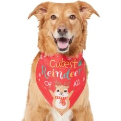 Frisco Cutest Reindeer Of All Dog & Cat Bandana 12 Frisco Cutest Reindeer Of All Dog & Cat Bandana -Pet Supplies Discount Store 357931 PT2. AC SS1800 V1660756046