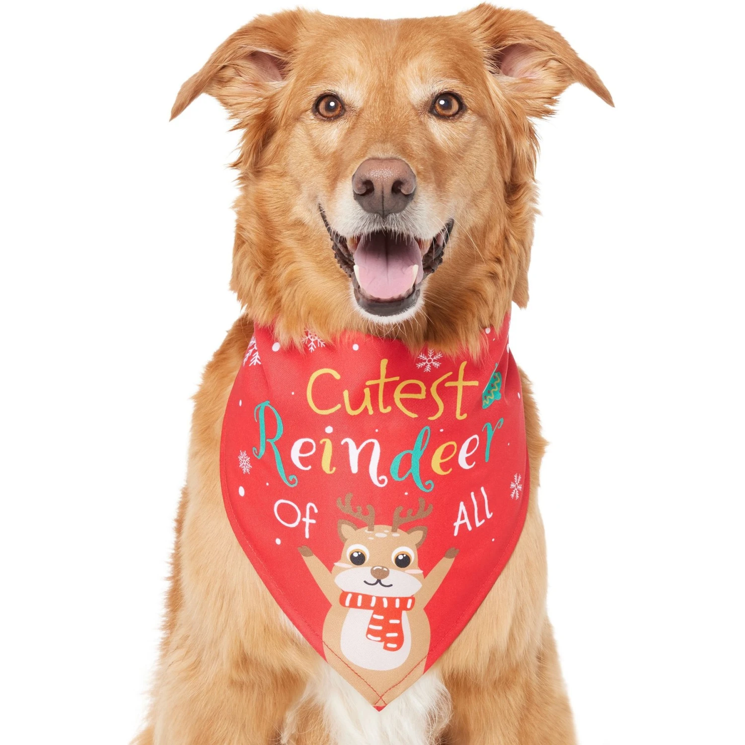 Frisco Cutest Reindeer Of All Dog & Cat Bandana 5 Frisco Cutest Reindeer Of All Dog & Cat Bandana - Image 3