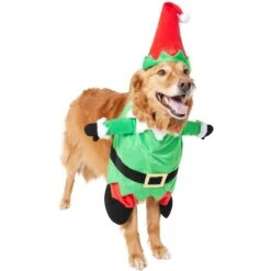 Frisco Front Walking Elf Dog & Cat Costume -Pet Supplies Discount Store 357956 PT4. AC SS1800 V1660757458