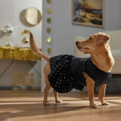 Frisco Kiss Me At Midnight Dog & Cat Dress 14 Frisco Kiss Me At Midnight Dog & Cat Dress -Pet Supplies Discount Store 358044 PT7. AC SS1800 V1661799831