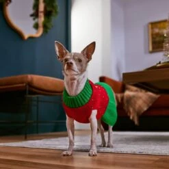 Frisco Penguin Dog & Cat Sweater Dress -Pet Supplies Discount Store 358207 PT7. AC SS1800 V1661889744