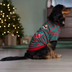 Frisco Naughty, Nice, I Tried Dog & Cat T-Shirt -Pet Supplies Discount Store 358301 PT7. AC SS1800 V1661797473