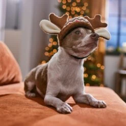 Frisco Antler Fair Isle Dog & Cat Hat -Pet Supplies Discount Store 358313 PT4. AC SS1800 V1661798696