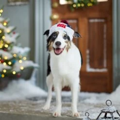 Frisco Ho Ho Ho Dog & Cat Hat -Pet Supplies Discount Store 358475 PT4. AC SS1800 V1661806265