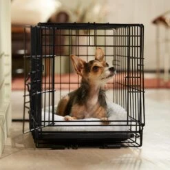 Frisco Adjustable Electrical Dog & Cat Heated Crate Mat With Timer -Pet Supplies Discount Store 358546 PT5. AC SS1800 V1662500981