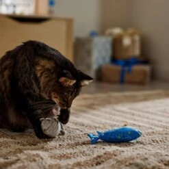 Frisco Hanukkah "Happy Pawnukkah" Fish Plush Cat Toy With Catnip, 2 Count -Pet Supplies Discount Store 360877 PT3. AC SS1800 V1661874179