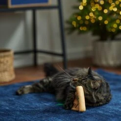 Frisco Holiday Santa's List Plush & Feather Cat Toy With Catnip -Pet Supplies Discount Store 360895 PT3. AC SS1800 V1661874361