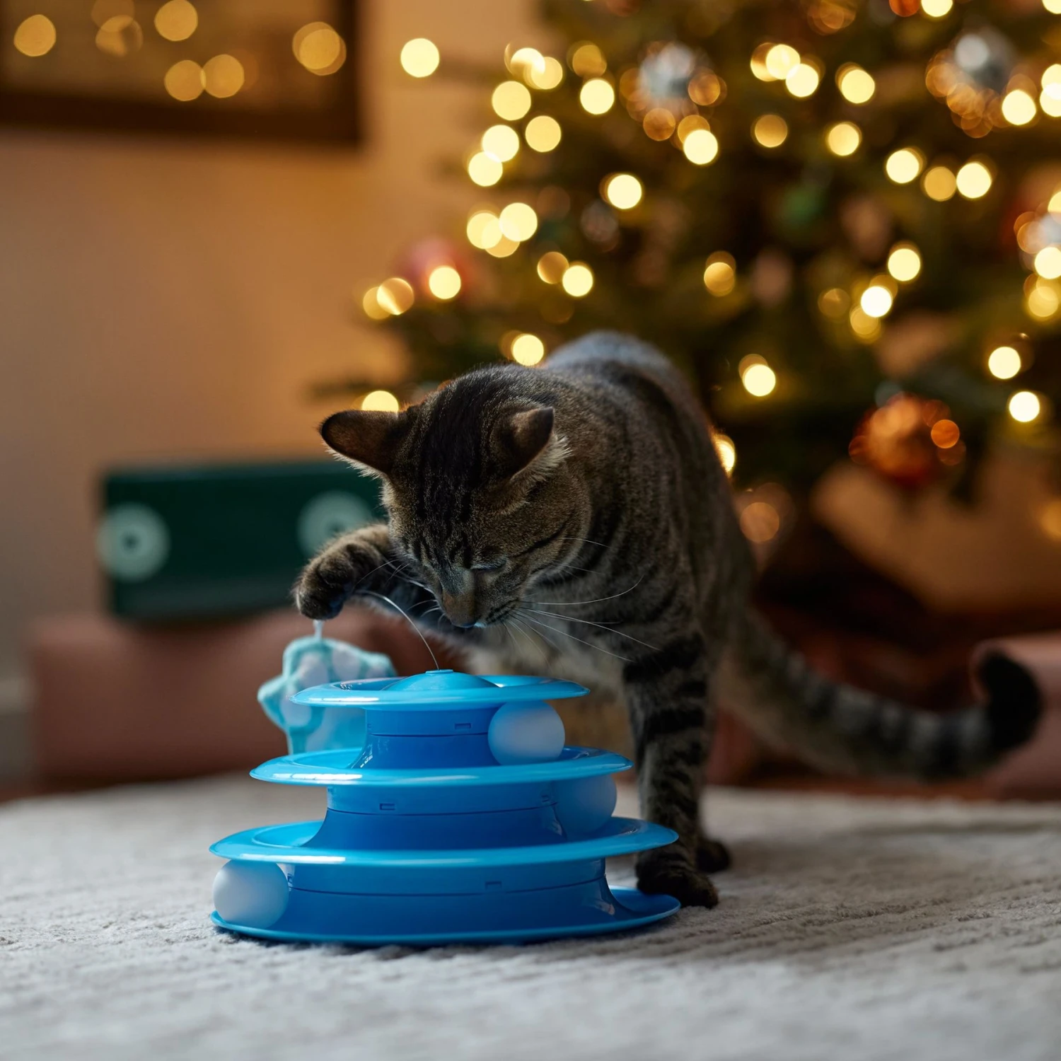 Frisco Winter Blue Cat Tracks Cat Toy With Catnip 5 Frisco Winter Blue Cat Tracks Cat Toy With Catnip - Image 3