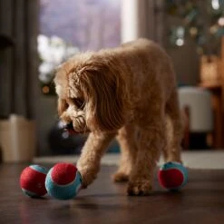 Frisco Holiday Ho Ho Ho Fetch Squeaky Tennis Ball Dog Toy -Pet Supplies Discount Store 360952 PT3. AC SS1800 V1661874421