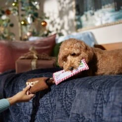 Frisco Holiday Home For The Holidays Airline Ticket Bungee Plush Squeaky Dog Toy -Pet Supplies Discount Store 360966 PT3. AC SS1800 V1661874362