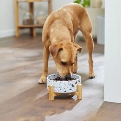 Frisco Elevated Terrazzo Non-skid Ceramic Bowl With Bamboo Stand -Pet Supplies Discount Store 363375 PT2. AC SS1800 V1657657266