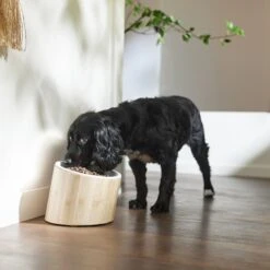 Frisco Elevated Slanted Bamboo Melamine Non-Skid Dog Bowl With Bamboo Stand 12 Frisco Elevated Slanted Bamboo Melamine Non-Skid Dog Bowl With Bamboo Stand -Pet Supplies Discount Store 363387 PT2. AC SS1800 V1657657267