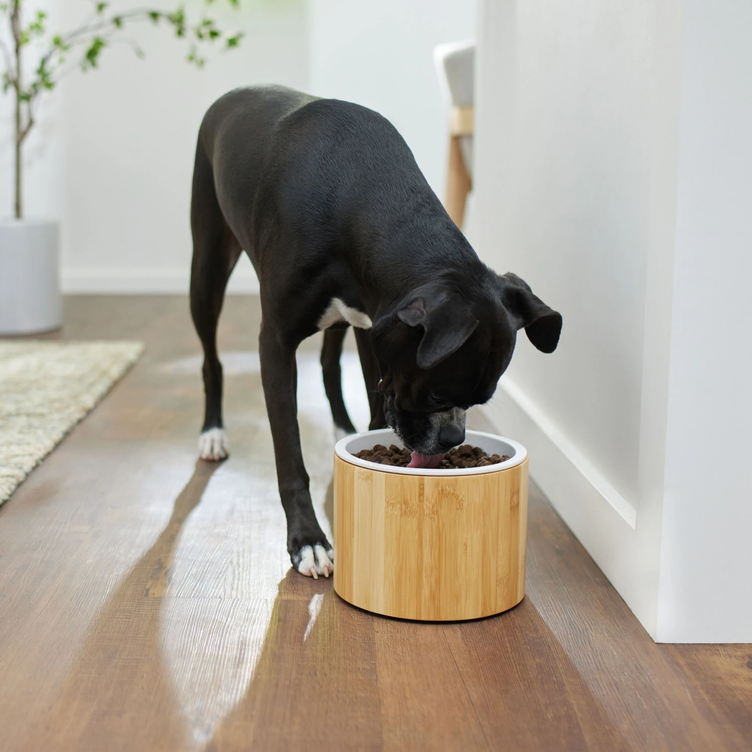 Frisco Elevated Non-Skid Bamboo Melamine Dog Bowl With Bamboo Stand 4 Frisco Elevated Non-Skid Bamboo Melamine Dog Bowl With Bamboo Stand - Image 2