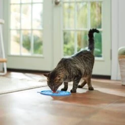 Frisco Non-skid Flower Silicone Dog & Cat Lick Mat, Blue -Pet Supplies Discount Store 363393 PT3. AC SS1800 V1660750521