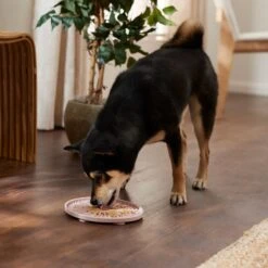 Frisco Silicone Dog & Cat Lick Mat With Suction Cups, Pink -Pet Supplies Discount Store 363395 PT2. AC SS1800 V1660750521