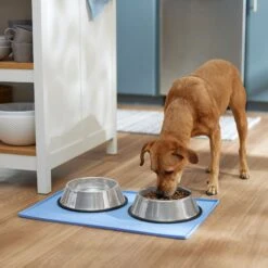 Frisco Silicone Dog & Cat Food Mat, Blue -Pet Supplies Discount Store 363399 PT2. AC SS1800 V1660750522