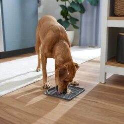 Frisco Non-skid Square Silicone Dog & Cat Lick Mat 10 Frisco Non-skid Square Silicone Dog & Cat Lick Mat -Pet Supplies Discount Store 363402 PT2. AC SS1800 V1668118082