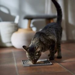 Frisco Non-skid Square Silicone Dog & Cat Lick Mat 11 Frisco Non-skid Square Silicone Dog & Cat Lick Mat -Pet Supplies Discount Store 363402 PT3. AC SS1800 V1665170734