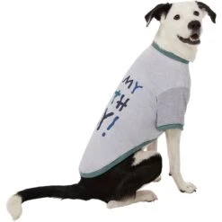 Frisco It's My Birth Day Dog & Cat T-Shirt -Pet Supplies Discount Store 368808 PT4. AC SS1800 V1669101517