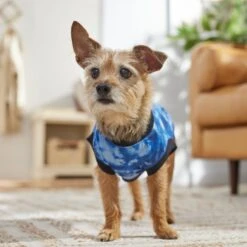 Frisco Tie-Dye Dog & Cat T-Shirt -Pet Supplies Discount Store 368816 PT7. AC SS1800 V1664994331