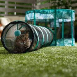 Frisco Mesh Outdoor Extra Wide Pop-up Cat Playpen & Tunnel 16 Frisco Mesh Outdoor Extra Wide Pop-up Cat Playpen & Tunnel -Pet Supplies Discount Store 371212 PT6. AC SS1800 V1663094505