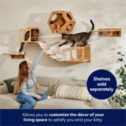 Frisco Cat Silhouette With Bridge Wall Mounted Cat Wall Shelves -Pet Supplies Discount Store 373441 PT3. AC SS1800 V1675692703
