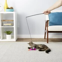 Blue Buffalo Baby Blue Savory Salmon Kitten Treats, 2-oz Bag & Frisco Bird With Feathers Teaser Wand Cat Toy With Catnip -Pet Supplies Discount Store 501918 PT8. AC SS1800 V1648516909