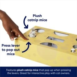 Frisco Cheese Interactive Maze Cardboard Cat Toy Box With Catnip -Pet Supplies Discount Store 506106 PT3. AC SS1800 V1671551754