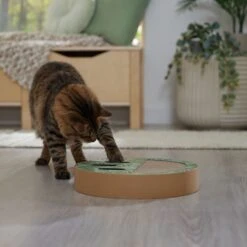 Frisco Interactive Maze & Scratch Cardboard Cat Toy Box With Catnip, Palms -Pet Supplies Discount Store 506130 PT4. AC SS1800 V1669212028