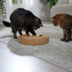 Frisco Interactive Maze & Scratch Cardboard Cat Toy With Catnip, Pizza 12 Frisco Interactive Maze & Scratch Cardboard Cat Toy With Catnip, Pizza -Pet Supplies Discount Store 506154 PT4. AC SS1800 V1669148129