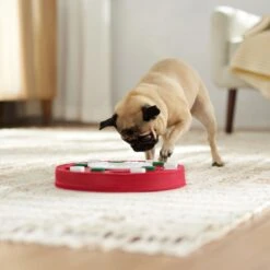 Frisco Bento Interactive Puzzle Dog Toy, Moderate -Pet Supplies Discount Store 506226 PT5. AC SS1800 V1674664929