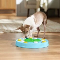Frisco Seek & Discover Interactive Puzzle Dog Toy, Moderate -Pet Supplies Discount Store 506250 PT5. AC SS1800 V1674664929
