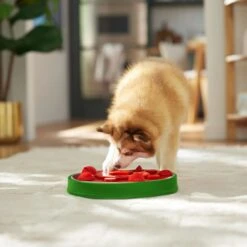 Frisco Watermelon Interactive Puzzle Dog Toy, Advanced -Pet Supplies Discount Store 506322 PT5. AC SS1800 V1674667034