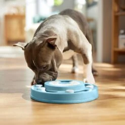 Frisco Two Tier Interactive Puzzle Dog Toy, Easy -Pet Supplies Discount Store 506370 PT5. AC SS1800 V1674671566