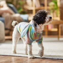 Frisco Wash Effect Bunny Ear Hoodie -Pet Supplies Discount Store 521374 PT7. AC SS1800 V1699653757