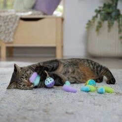Frisco Fabric & Play Plastic Balls Cat Toy 8 Frisco Fabric & Play Plastic Balls Cat Toy -Pet Supplies Discount Store 526030 PT3. AC SS1800 V1669148132