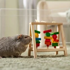 Frisco Activity Play Table Small Pet Toy -Pet Supplies Discount Store 536846 PT4. AC SS1800 V1668902495