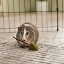 Frisco Hay Trees Small Pet Toy -Pet Supplies Discount Store 536894 PT3. AC SS1800 V1668902550