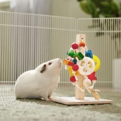 Frisco Activity Play Post Small Pet Toy -Pet Supplies Discount Store 536910 PT3. AC SS1800 V1668902494