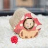 Frisco Mushroom Hide & Chew Small Pet Toy -Pet Supplies Discount Store 536926 MAIN. AC SS1800 V1668902497