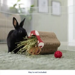 Frisco Mushroom Hide & Chew Small Pet Toy -Pet Supplies Discount Store 536926 PT3. AC SS1800 V1669393022