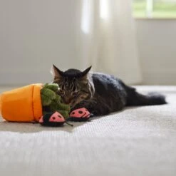 Frisco Spring Potted Plant And Ladybugs Interactive Plush Cat Toy With Catnip -Pet Supplies Discount Store 541542 PT3. AC SS1800 V1671814448