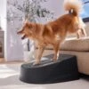 Frisco Plastic Easy Step Cat & Dog Stair -Pet Supplies Discount Store 542390 MAIN. AC SS1800 V1671829661