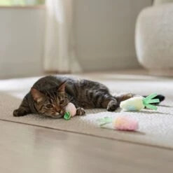 Frisco Easter Carrot Plush Cat Toy With Catnip -Pet Supplies Discount Store 550470 PT4. AC SS1800 V1702500564