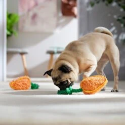 Frisco Easter Carrot Plush With Rope Squeaky Dog Toy -Pet Supplies Discount Store 550486 PT4. AC SS1800 V1702500565