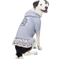 Frisco Stay Wild Dog & Cat Hoodie -Pet Supplies Discount Store 555366 PT3. AC SS1800 V1674829142