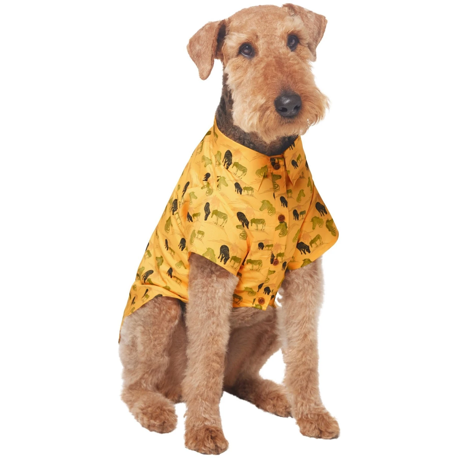 Frisco Safari Zebra Dog & Cat Shirt 6 Frisco Safari Zebra Dog & Cat Shirt - Image 4