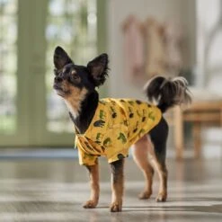 Frisco Safari Zebra Dog & Cat Shirt 18 Frisco Safari Zebra Dog & Cat Shirt -Pet Supplies Discount Store 555566 PT7. AC SS1800 V1675099388