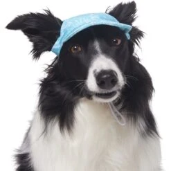 Frisco Blue Ocean Waves 30 + UPF Dog & Cat Beach Cap -Pet Supplies Discount Store 556182 PT3. AC SS1800 V1677530963